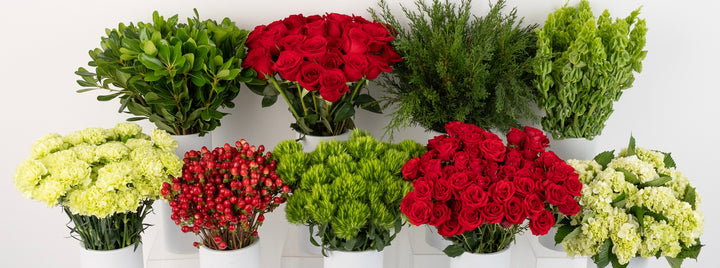 Joyous Noel DIY Flower Kit