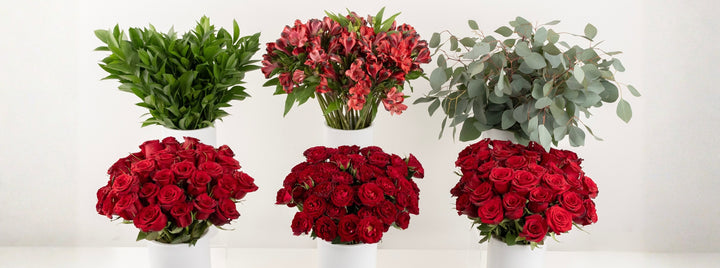 Ruby Red DIY Flower Kit
