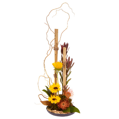 LOMEY Designer Dish 9 Inch