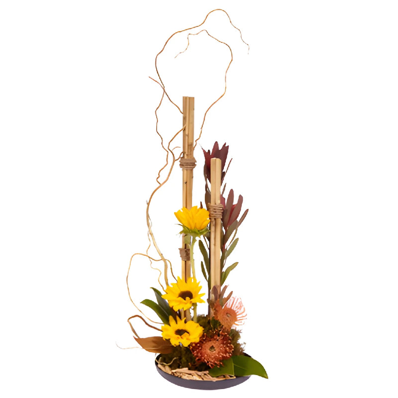 LOMEY Designer Dish 9 Inch