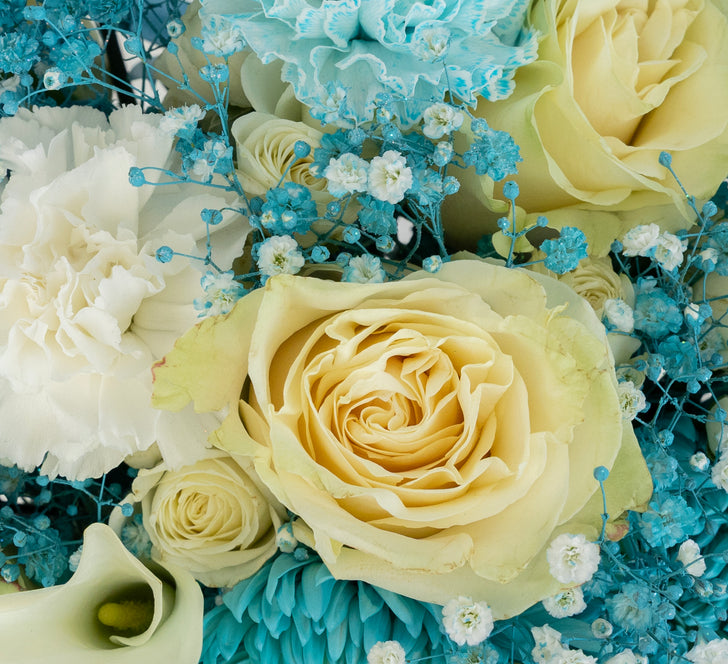 Aqua Bloom Flower Collection