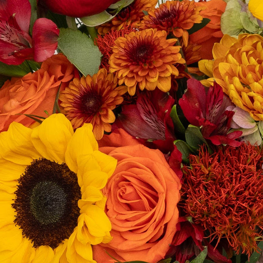 Autumn Dream Flower Collection