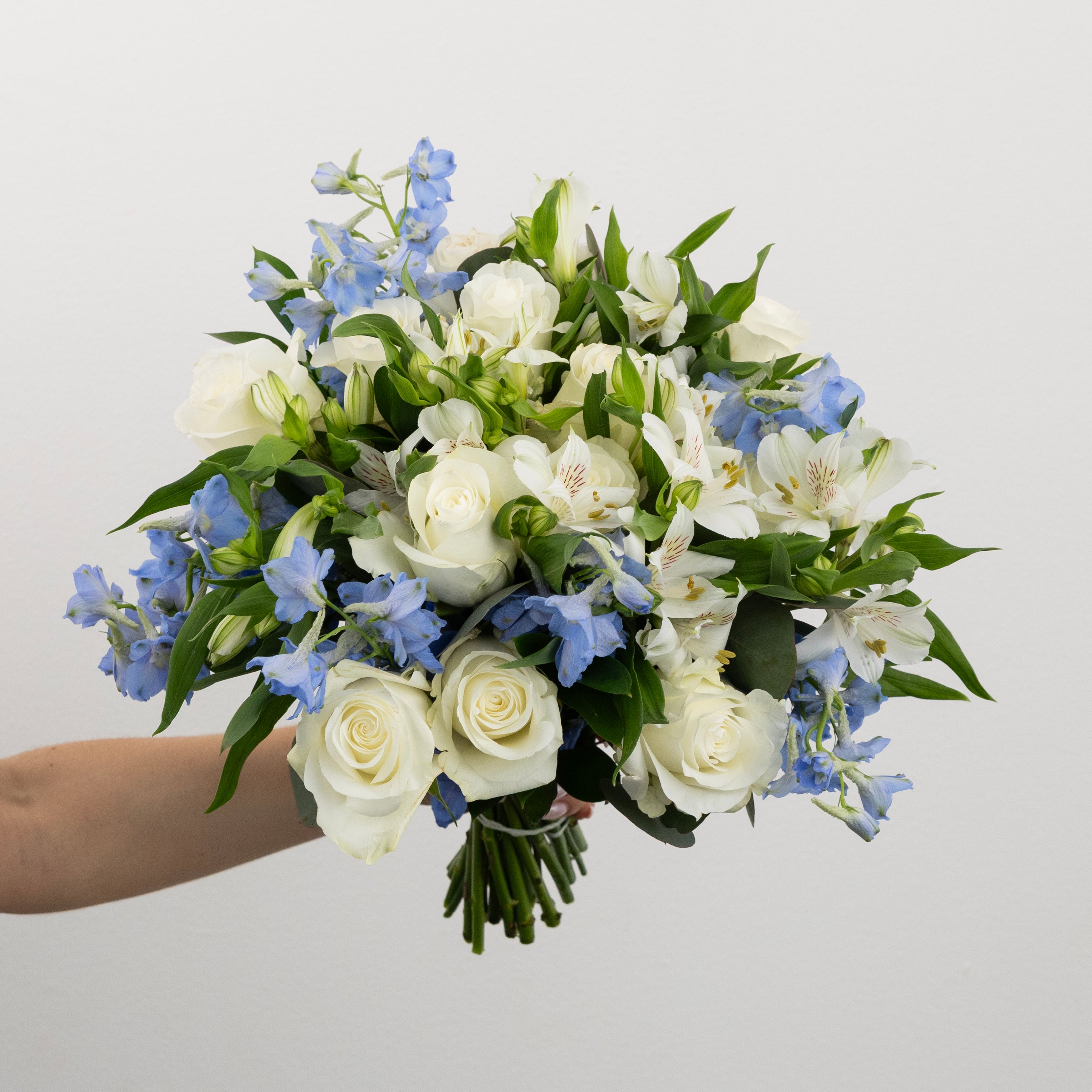 Beautiful Blues Flower Collection