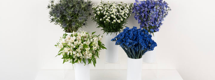 Blue Magic DIY Flower Kit