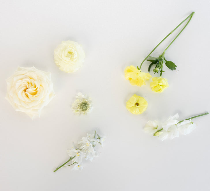 Butter Yellow Ranunculus Butter Yellow Flower Collection