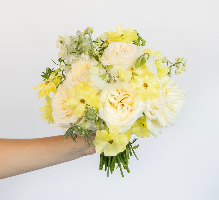 Butter Yellow Ranunculus Butter Yellow Flower Collection