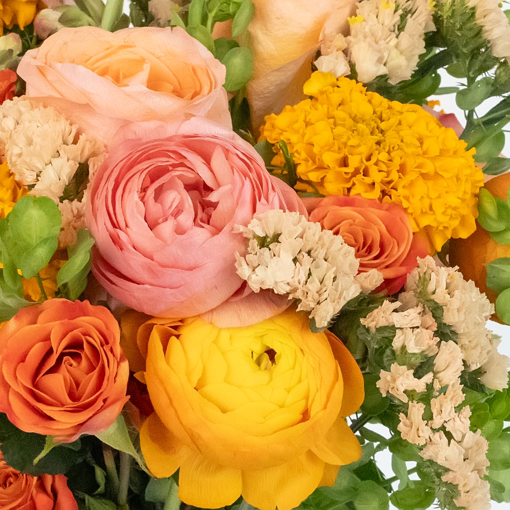 Citrus Punch Flower Collection