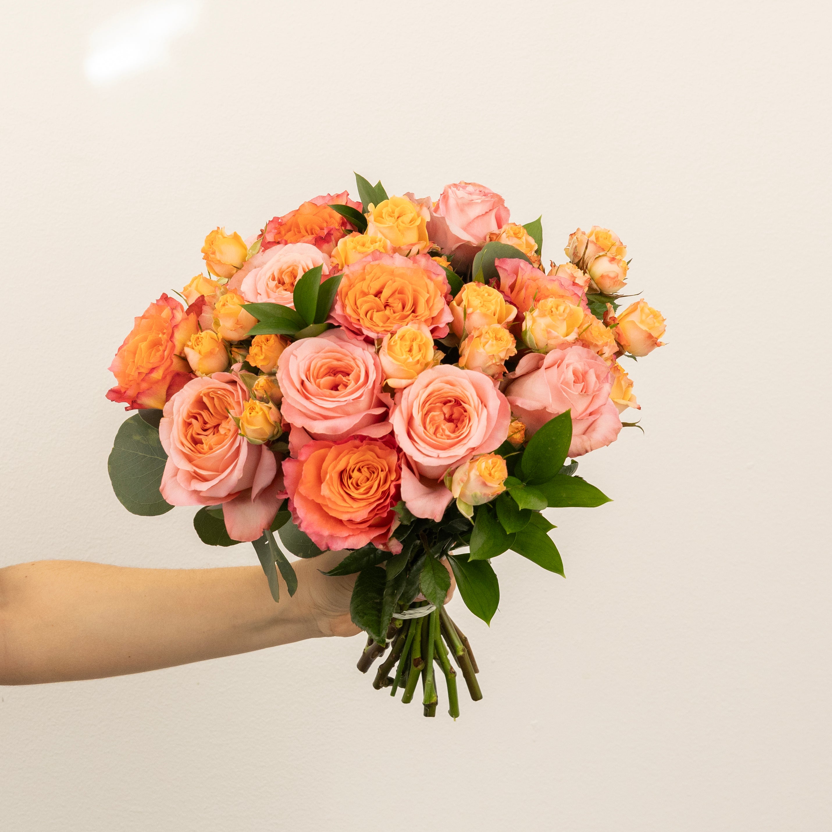Coral Gardens Flower Collection