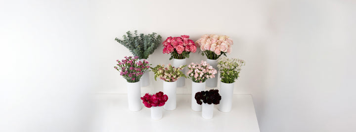 Cloud Wine DIY Flower Kit