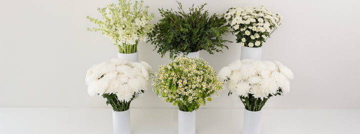Crazy About You DIY Flower Kit