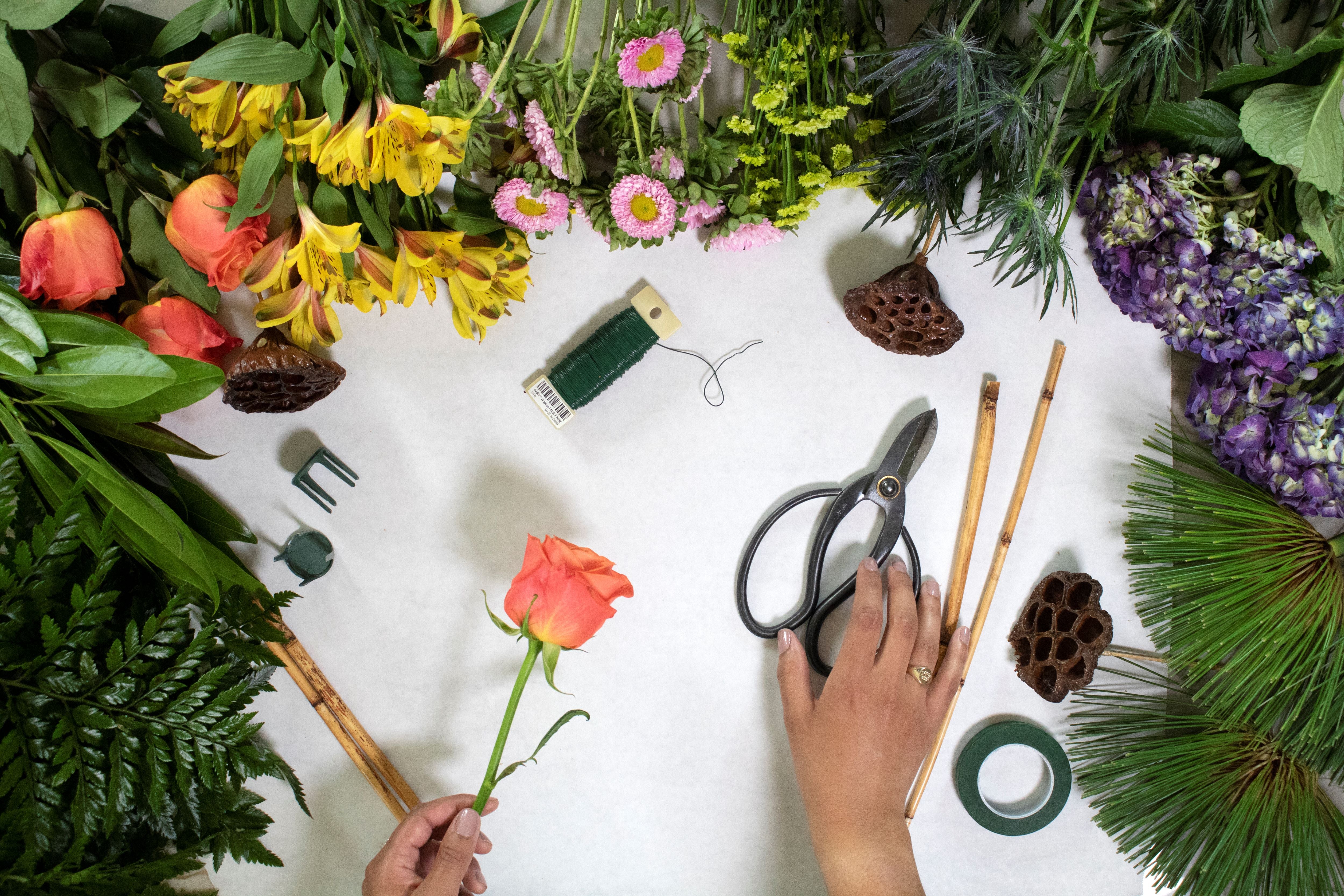 Image for page: Flower Pro Registration