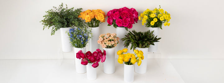 Dragonfruit Delight DIY Flower Kit