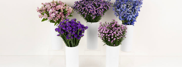 Evening Magic DIY Flower Kit