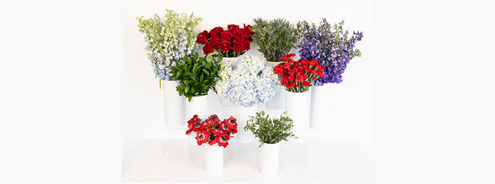 Fourth of July Flowers