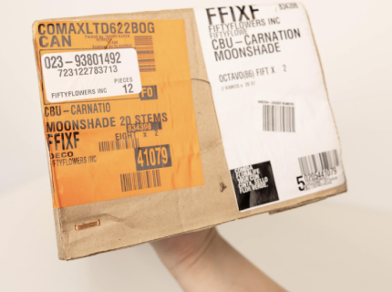 Image for page: Submit a Claim