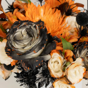 Shop By Holidays and Occasions Halloween Card