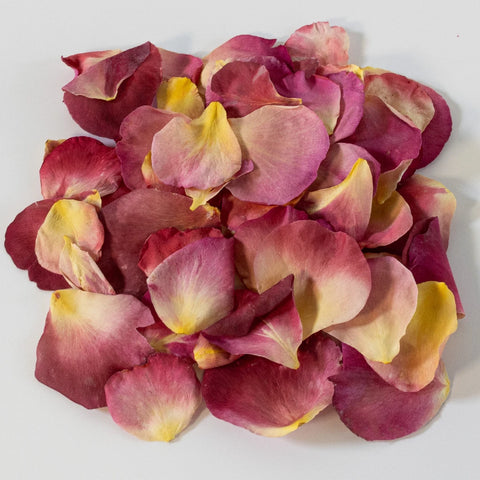 Pink Peach Hue Dried Rose Petals