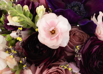 Close-up of mauve roses, deep purple anemones, burgundy ranunculus and blush blooms from the Moody Mauve Flower Collection