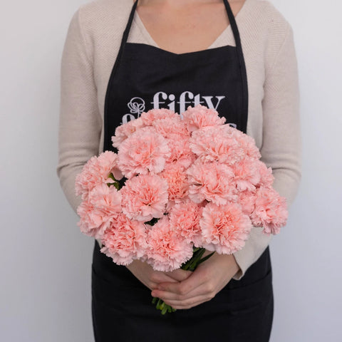 Pink Carnations Valentines Day Special