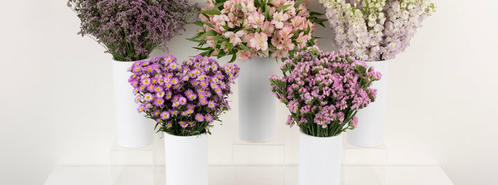 Pink Magic DIY Flower Kit
