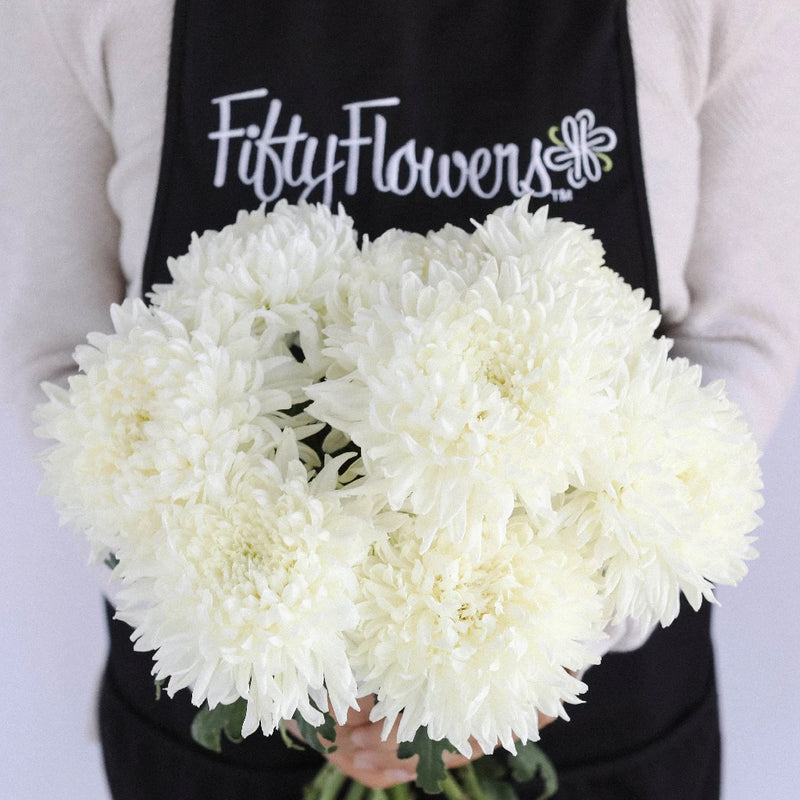White Football Mum Flower