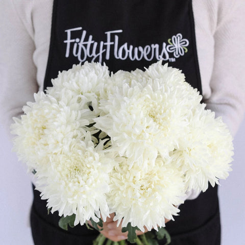 20 Fresh White Football Mum China Mum Cut Flower Bulk Wedding Flowers  Wholesale Flowers 