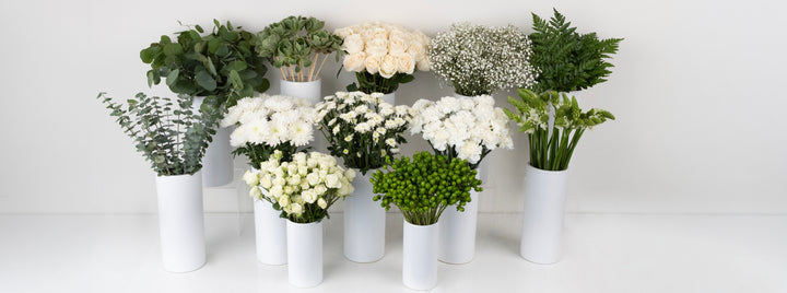 Earth And Ivory DIY Flower Kit