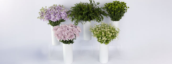 Wild About You DIY Flower Kit