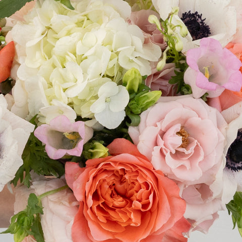 A Love Story Diy Flower Kit Close Up - Image