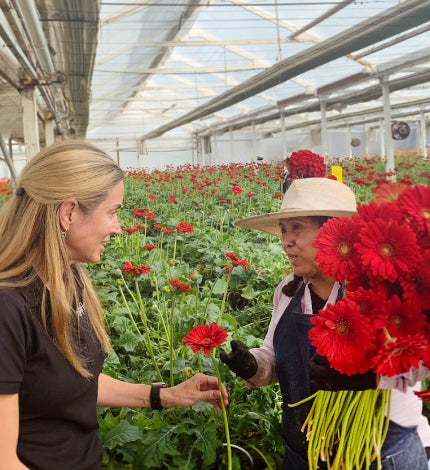 Image for page: About Us