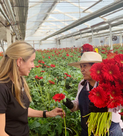 FiftyFlowers team in a flower greenhouse