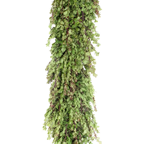 Fresh Boxwood Garland