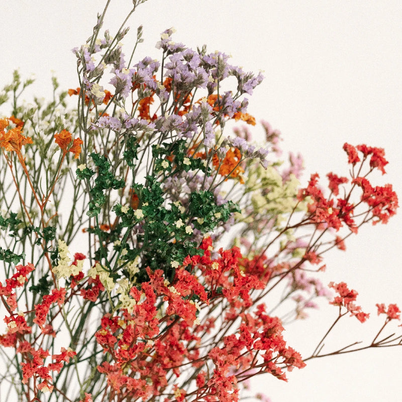 Airbrushed Mixed Limonium Flowers Close Up - Image