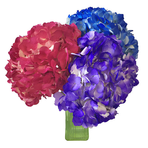 Airbrushed Jewel Toned Hydrangea Flowers