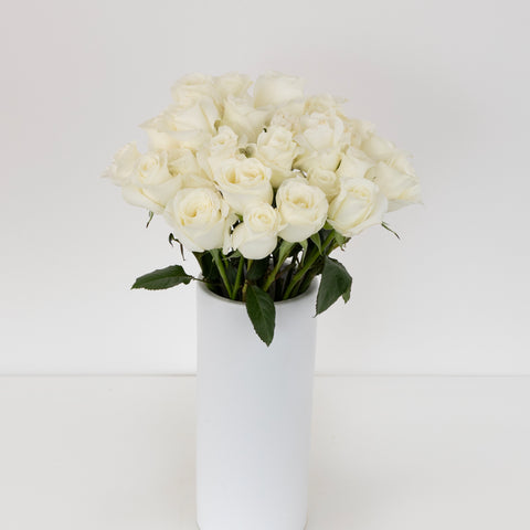 Akito White Bulk Rose Vase - Image