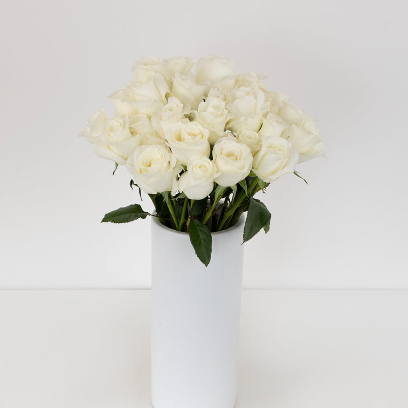 Akito White Bulk Rose Vase - Image