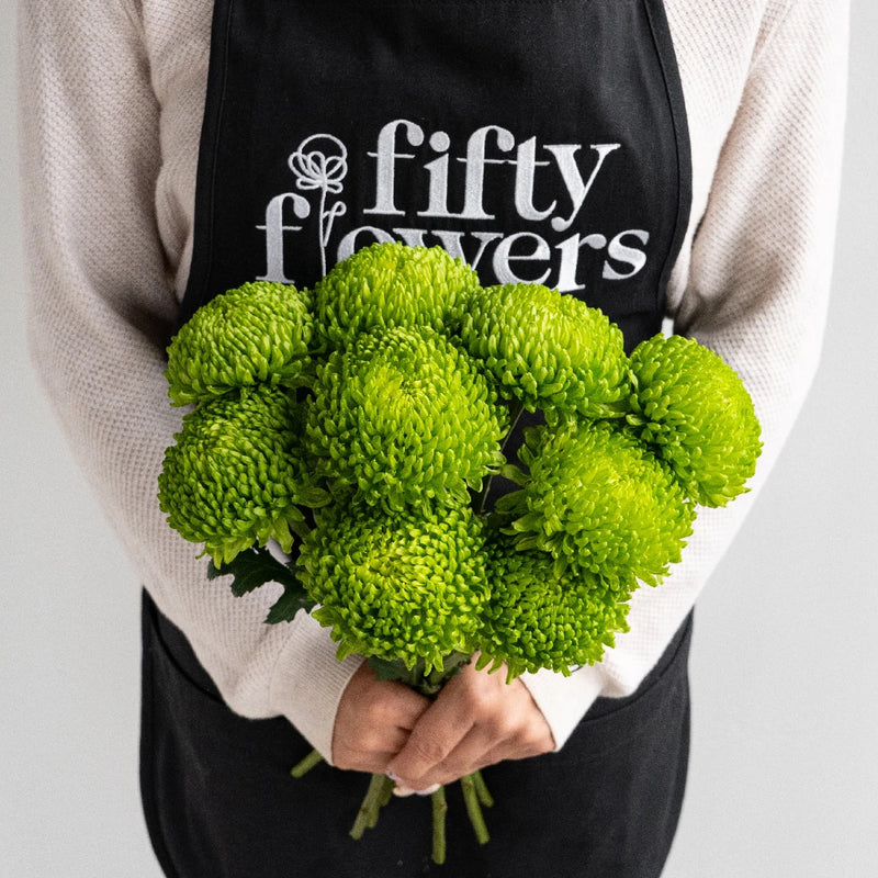 Alemani Apron - Image