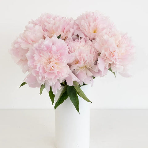 Alertie Pink Peonies For Mothers Day Vase - Image
