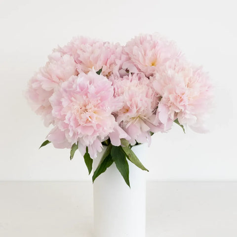 Alertie Pink Peonies Vase - Image