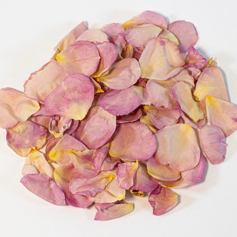 All Dressed Up Pink Dried Rose Petals Stem - Image