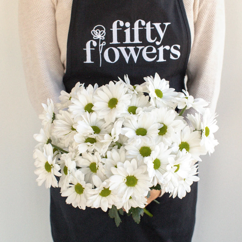 Alma Pom Saf Winner 2018 Apron - Image