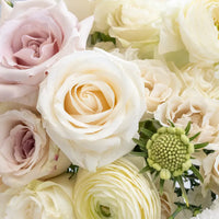 Alpine Oat Diy Flower Kit Close Up - Image