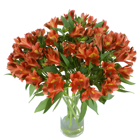 Hot Pepper Dark Orange alstroemeria Wholesale Flower In a vase