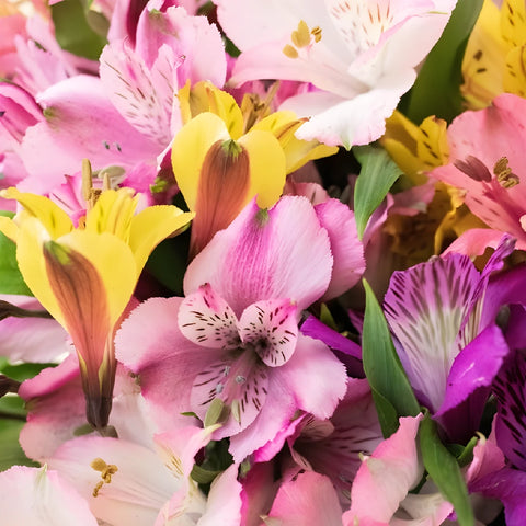 Alstroemeria Spiral Valentines Flower Arrangement - Image