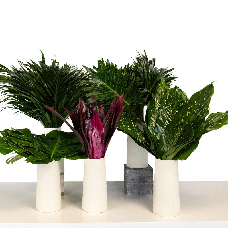 Amazon Diy Flower Kit Recipe - Image