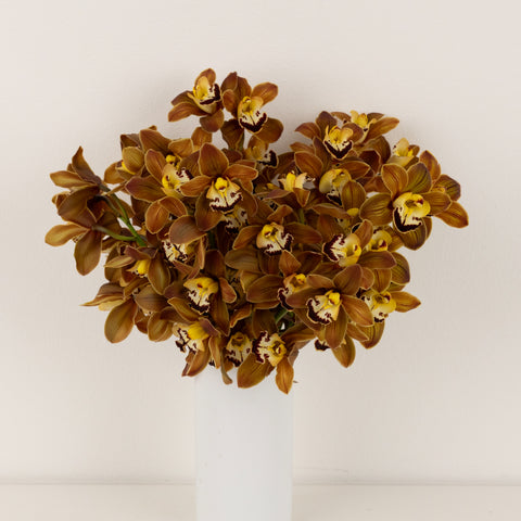 Amber Brown Mini Cymbidium Orchids Vase - Image