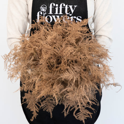 Amber Enhanced Plumosa Fern Greenery Apron - Image