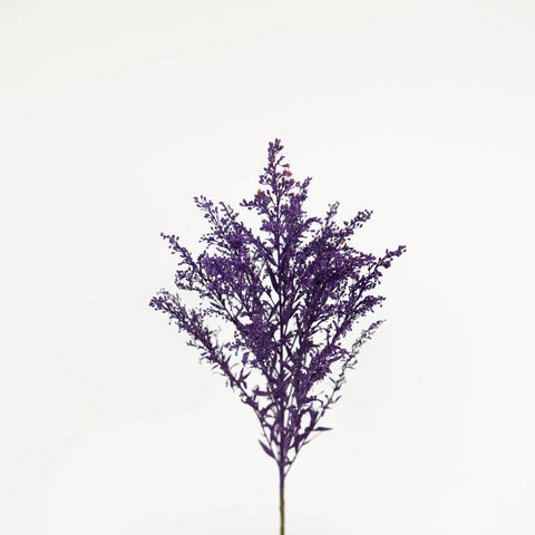 Amethyst Purple Tinted Solidago Flowers Stem - Image