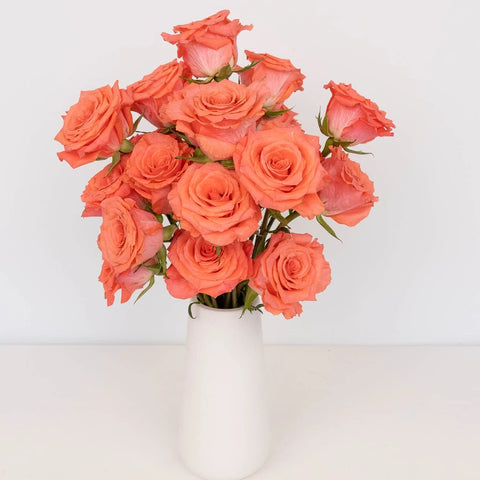 Amsterdam Hot Coral Pink Rose Vase - Image