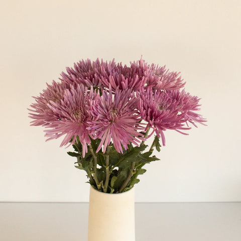 Anastasia Spider Millennial Pink Flowers Vase - Image